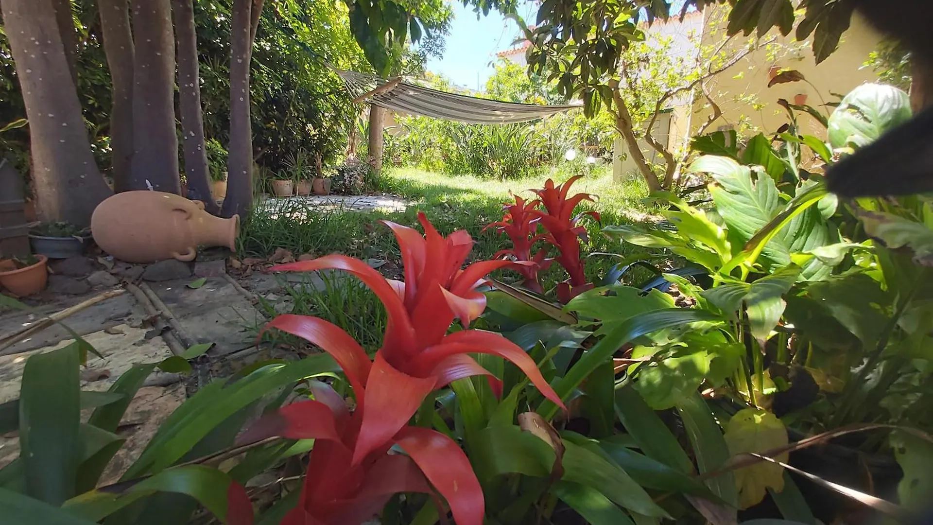 Holidays Tenerife Breakfast Inclusive Wifi Pool Fr La Laguna  Spain